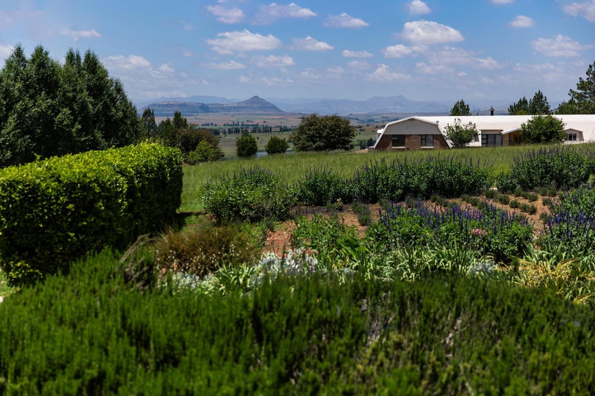 Lavender Hill Country Estate And Wedding Venue Guest House Bethlehem Bagian luar foto